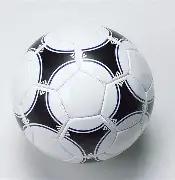 广东男篮新,赛季全家福,胡明轩,乐竞体育平台,乐竞体育官方网站,乐竞体育登录入口,乐竞体育app下载