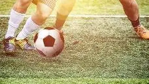 赛恩斯（688480）11月25日遭主力资金净流出1225.15万元