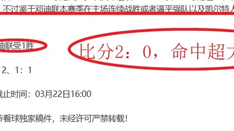 翁泓阳2-0战胜小波波夫，夺得2025年瑞士公开赛男单金牌